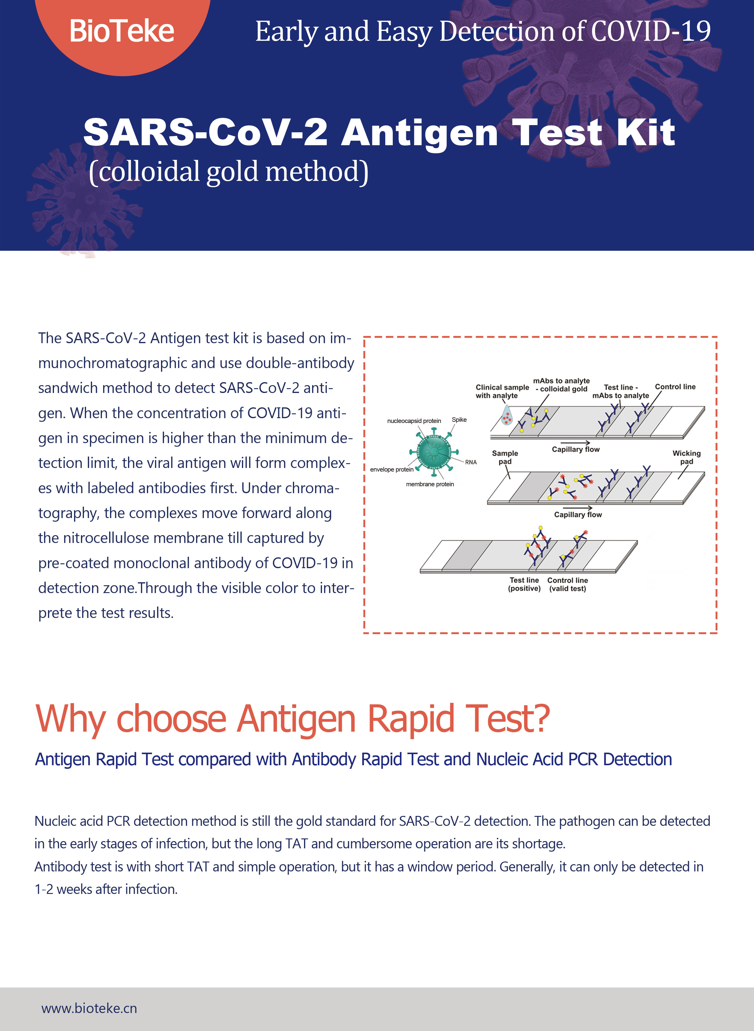 SARS-CoV-2 Antigen Test Kit (colloidal gold method) 1 piece for home